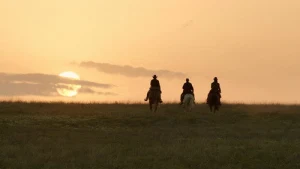 7 серия