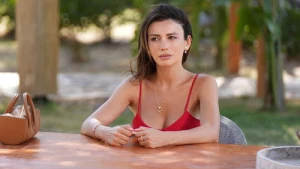 12 серия