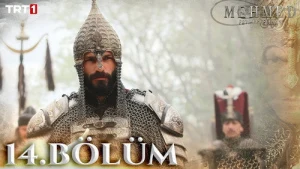 14 серия