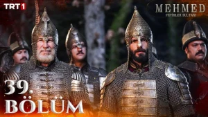 24 серия