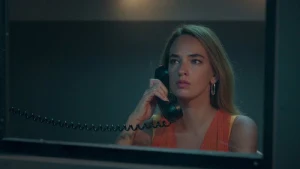 1 серия
