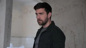 29 серия