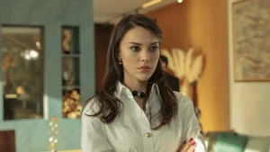 17 серия