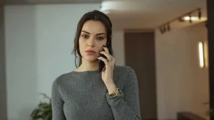 27 серия
